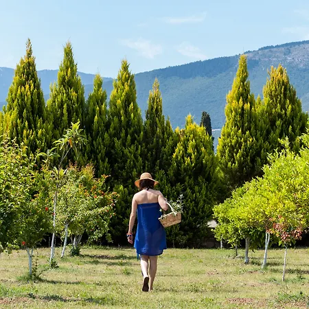 Penelope Vilă Sami (Kefalonia)